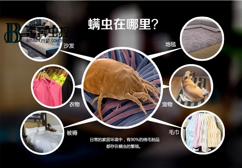 每天都和蟲蟲睡在一起？