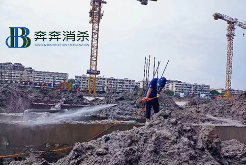 針對(duì)建筑工地的白蟻預(yù)防
