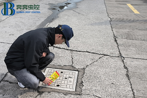 “衛(wèi)”愛(ài)守護(hù)，健康校園！消滅四害，人人有責(zé)