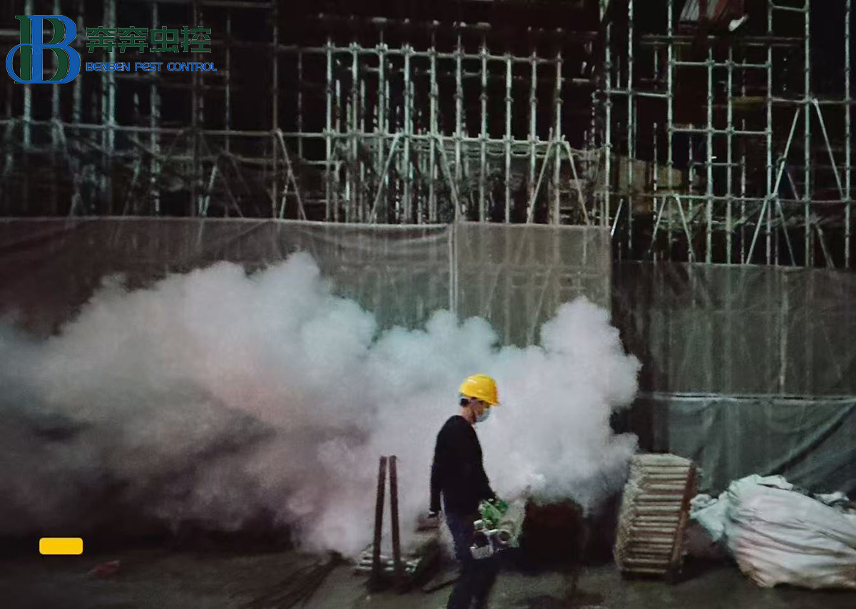 工地夏季滅蚊攻略：從“治蚊”到“防蚊”，守護(hù)施工安全與健康